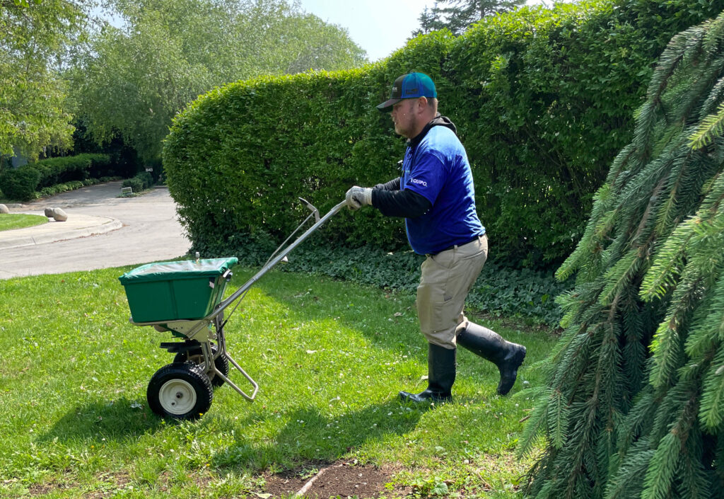 lawn fertilization