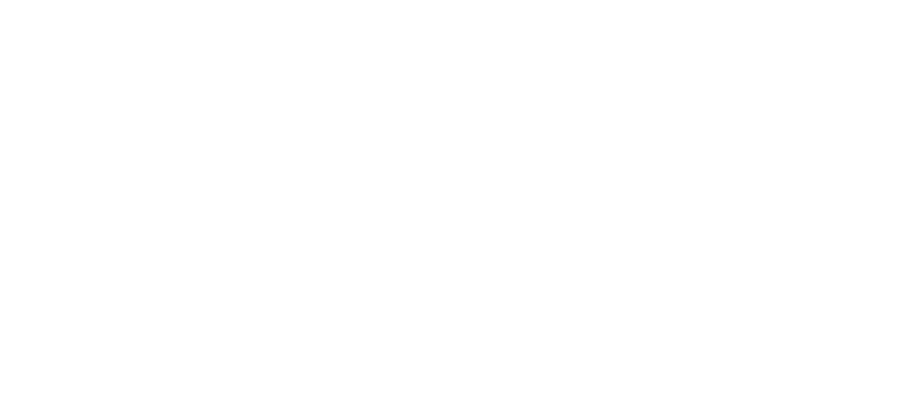 Association of Outdoor Lighting Professionals Logo
